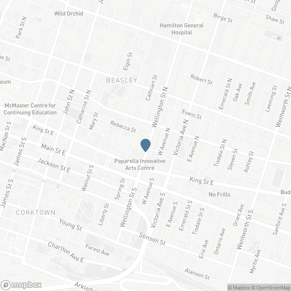 45 WELLINGTON STREET N, Hamilton, Ontario L8R 1M9